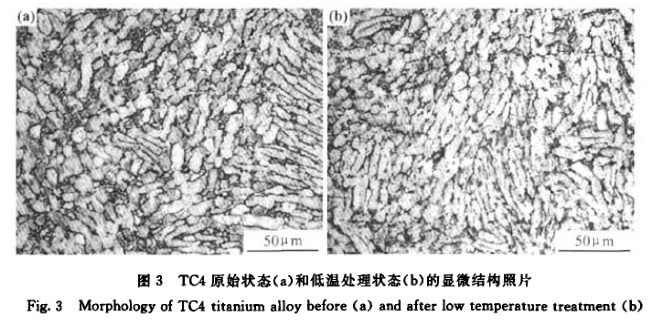 1647072374155936.jpg 3.jpg