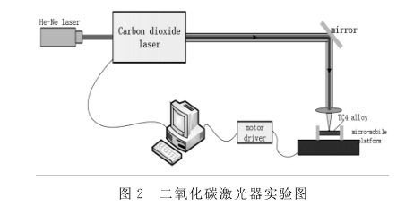 1649990759249237.jpg t2.jpg