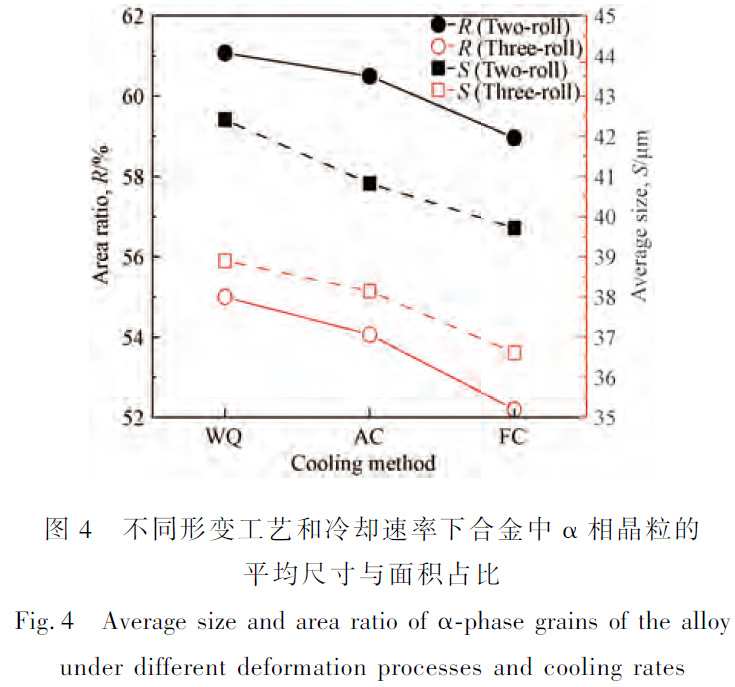 1672148299419041.jpg t4.jpg