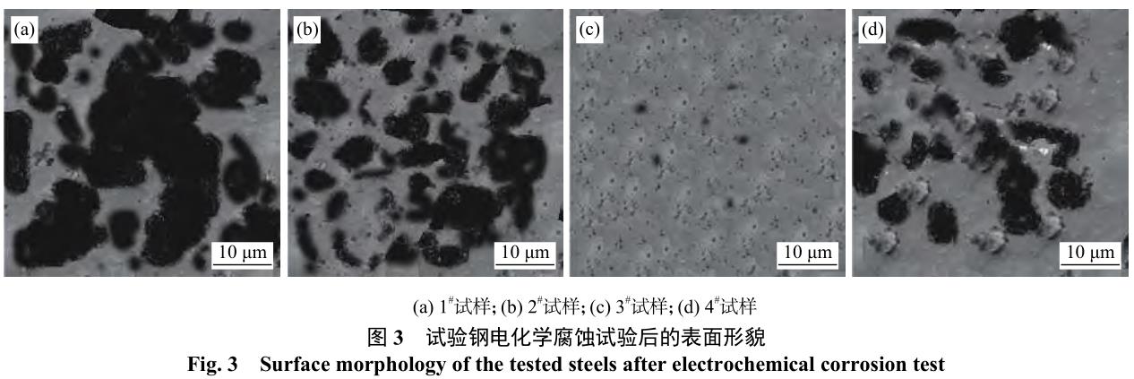 1692090073388266.jpg t3.jpg